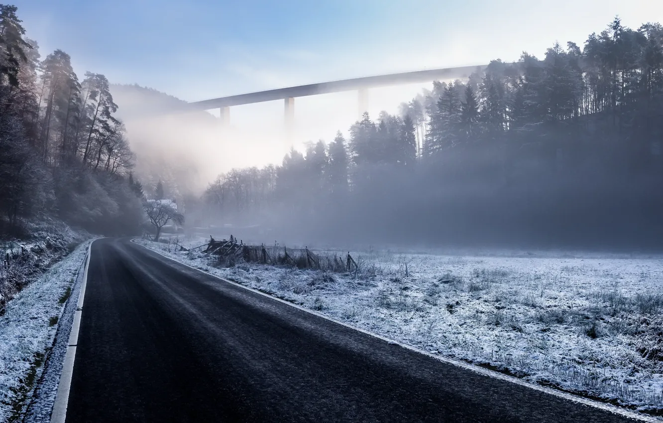 Фото обои зима, дорога, туман