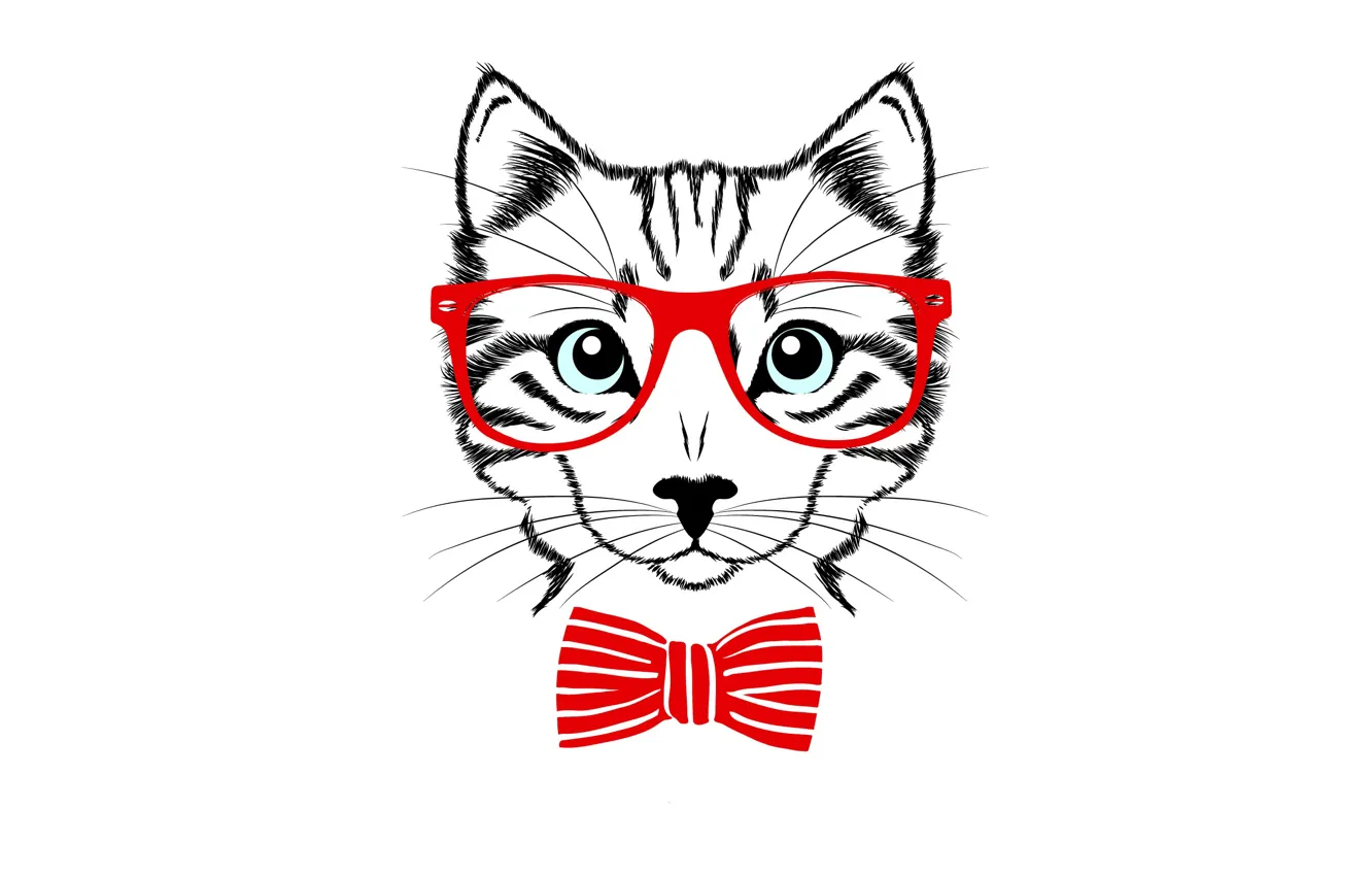 Фото обои кошка, кот, красный, бабочка, минимализм, очки, светлый фон, cat