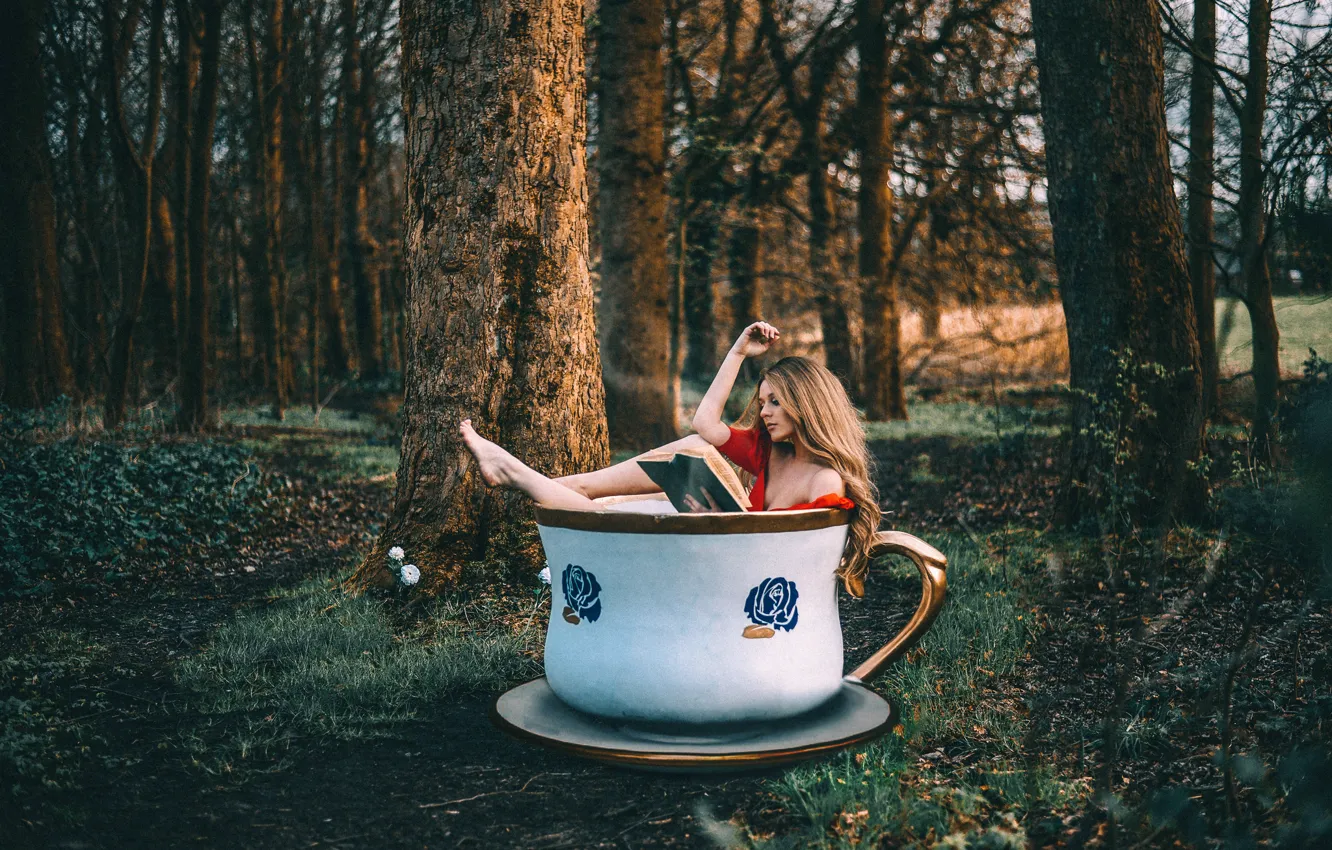 Фото обои лес, девушка, чашка, книга, Rosie Hardy