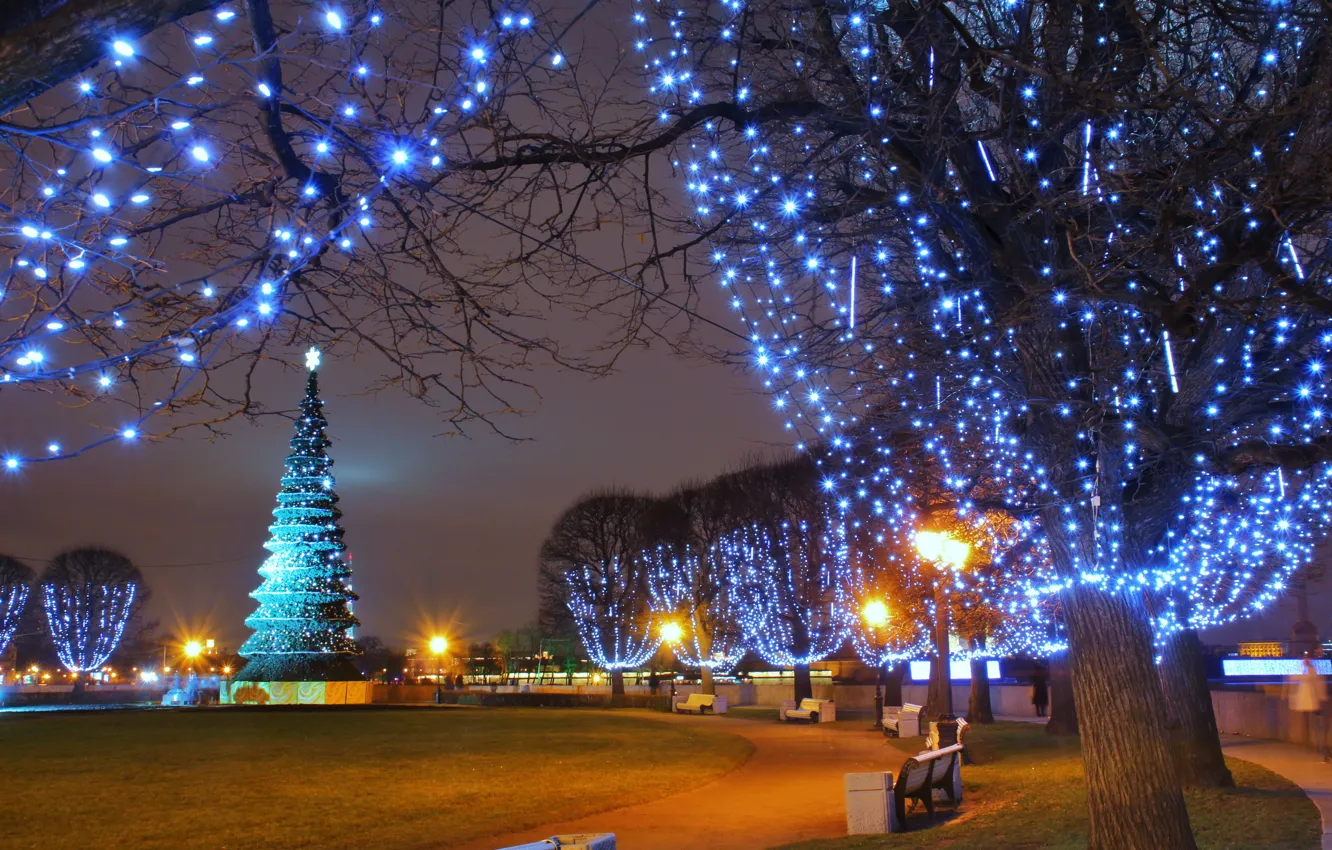 Фото обои зима, lights, парк, елка, фонари, гирлянды, сквер, night