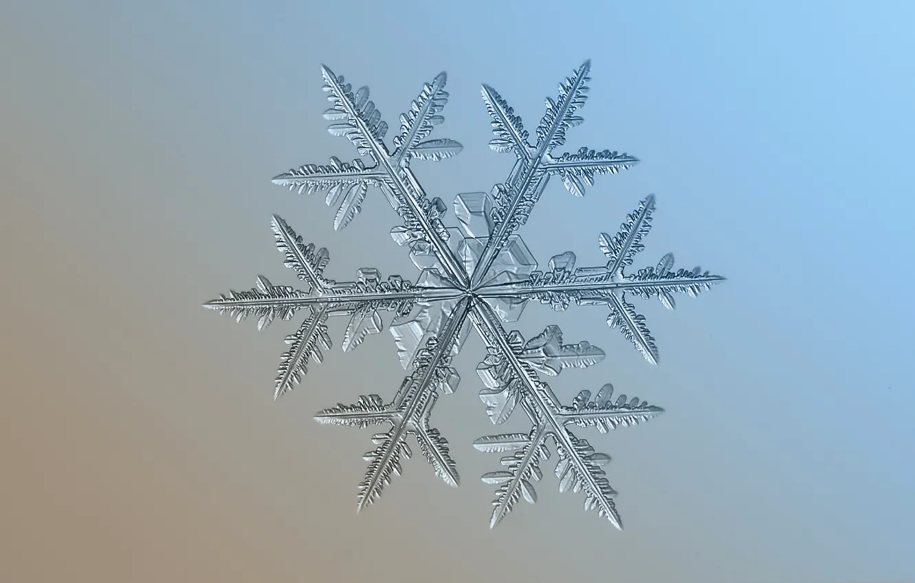 Фото обои лед, зима, узор, снежинка, симметрия