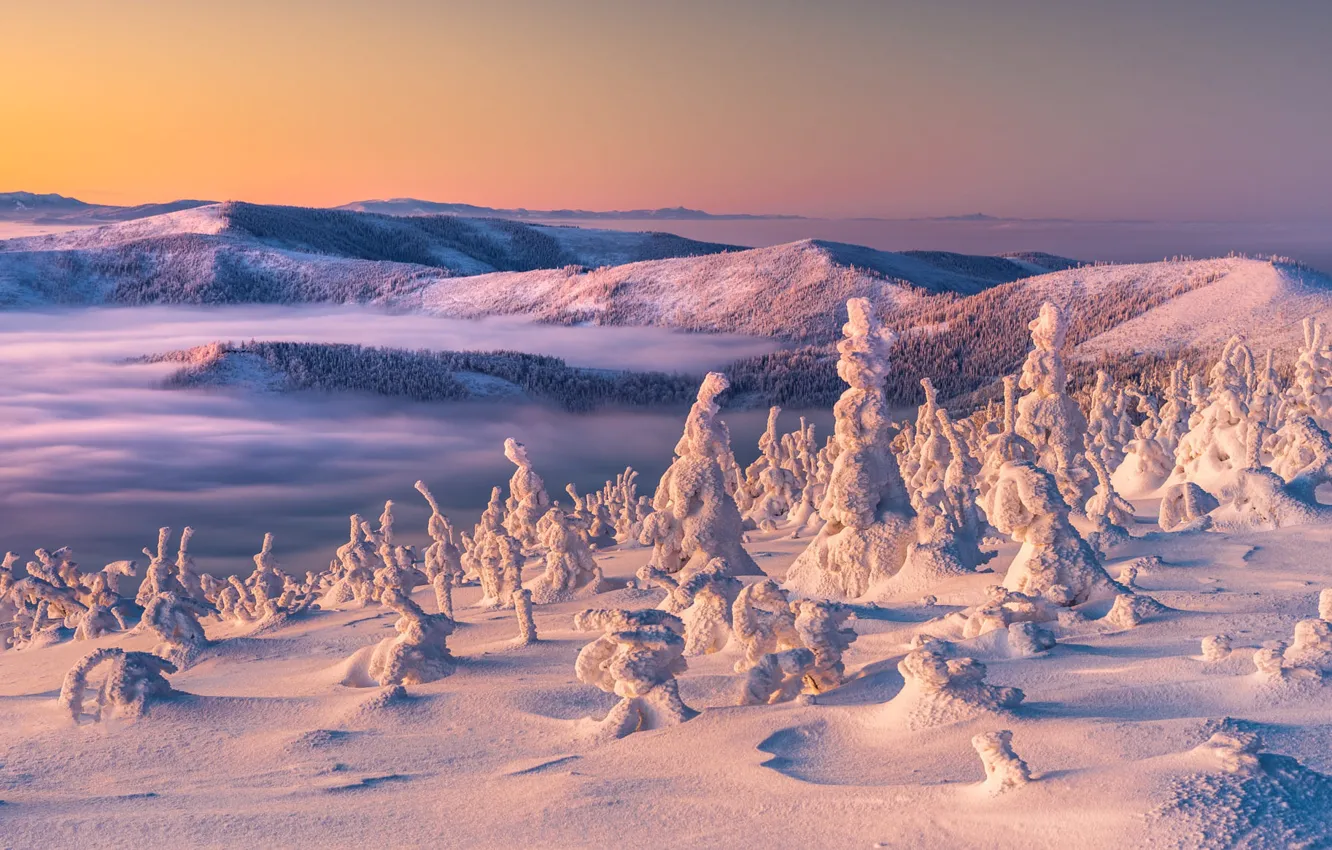 Фото обои зима, лес, небо, свет, снег, горы, туман, рассвет