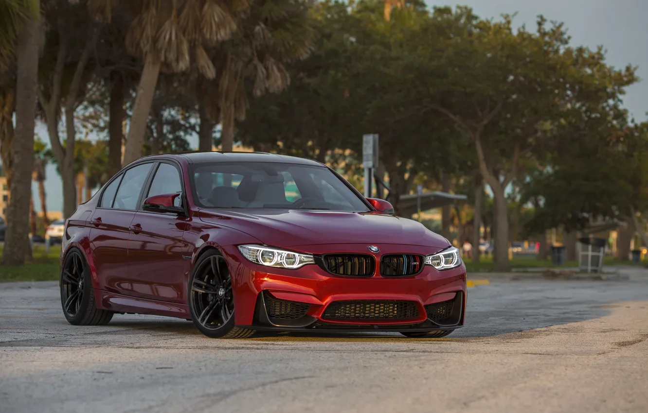 Фото обои BMW, Evening, RED, Sight, F81