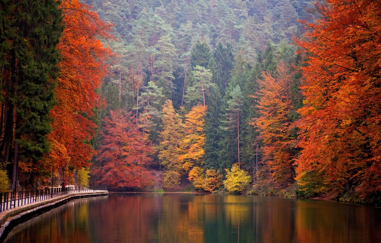 Фото обои осень, лес, деревья, горы, озеро, парк, Германия, Saxon Switzerland National Park