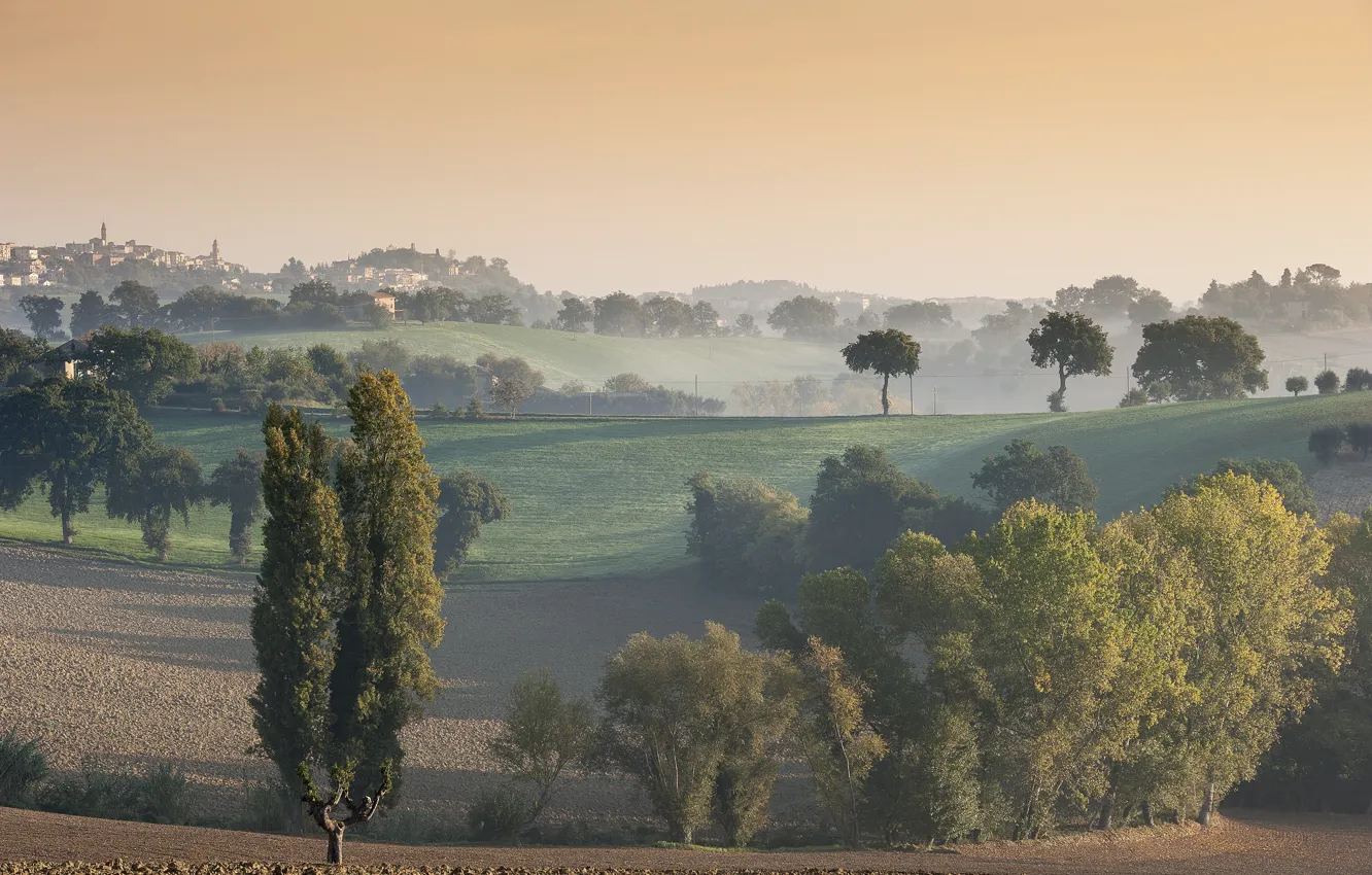 Фото обои небо, деревья, туман, холмы, дома, утро, Италия
