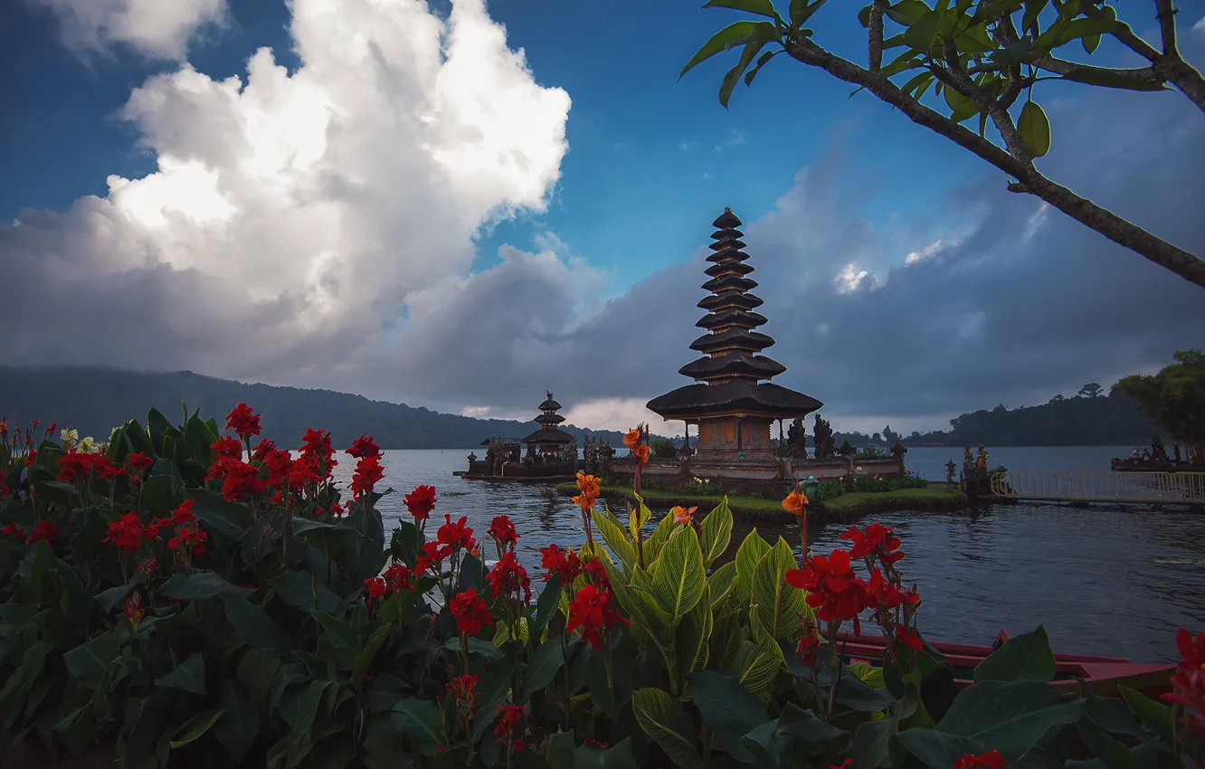 Фото обои облака, пейзаж, цветы, ветки, озеро, холмы, берег, Бали