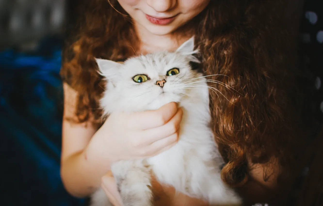 Фото обои белый, кот, девочка, смотрит