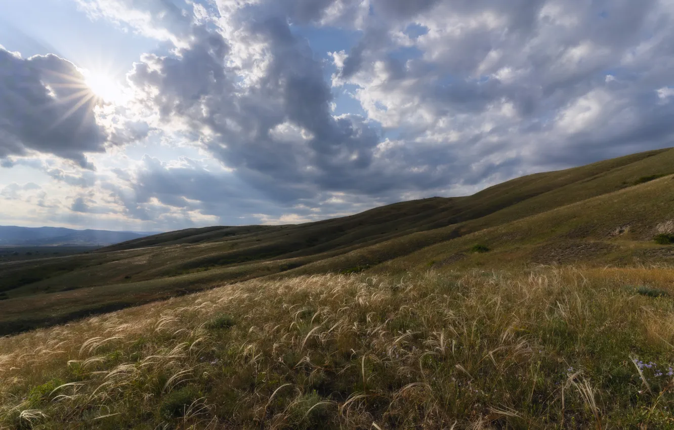 Фото обои трава, красота, горизонт, простор, луга, Юлия Мальцева