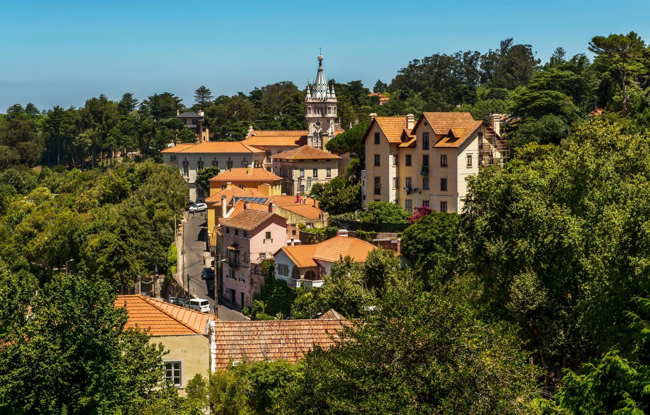 Фото обои зелень, солнце, деревья, дома, Португалия, Lisbon, Sintra
