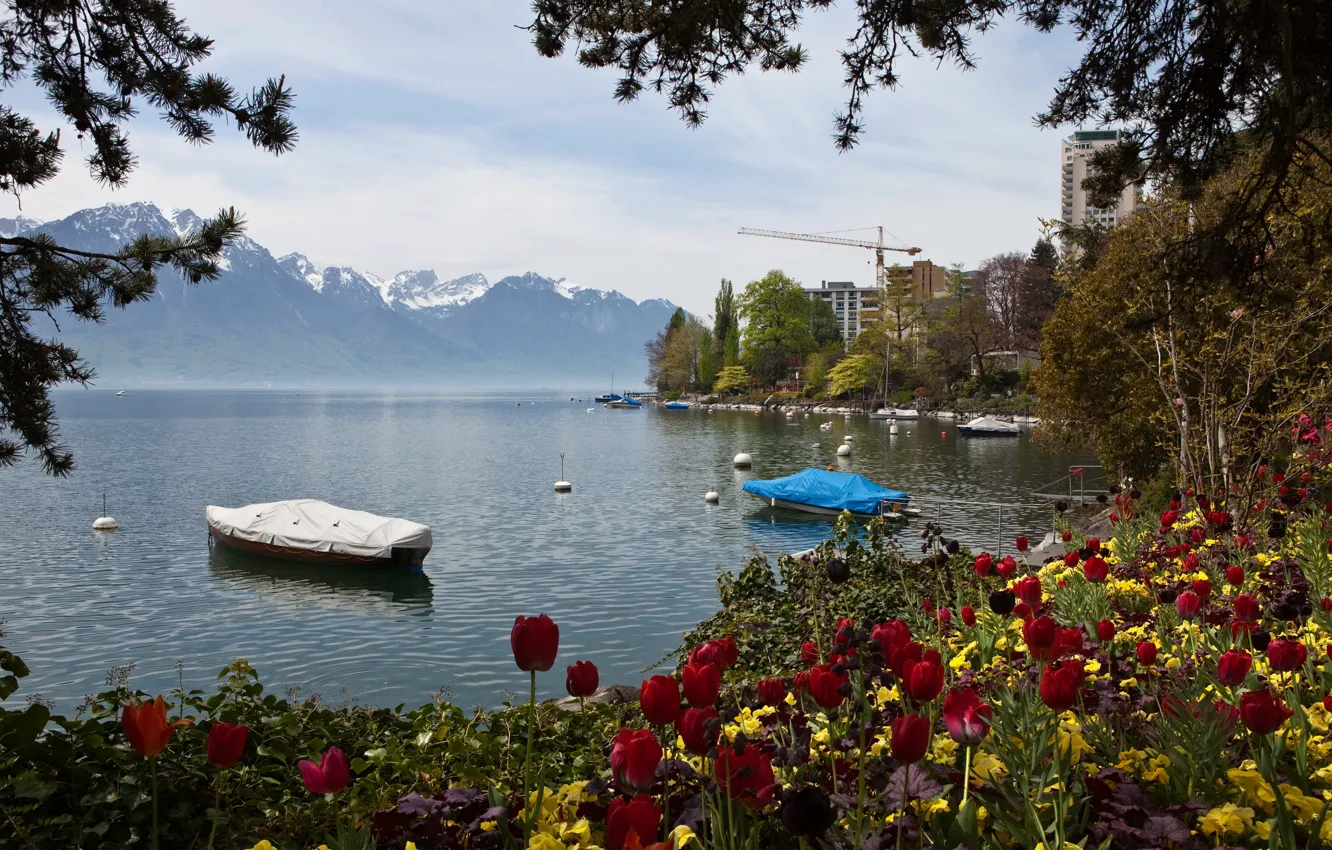 Фото обои горы, природа, озеро, фото, Швейцария, тюльпаны, Montreux