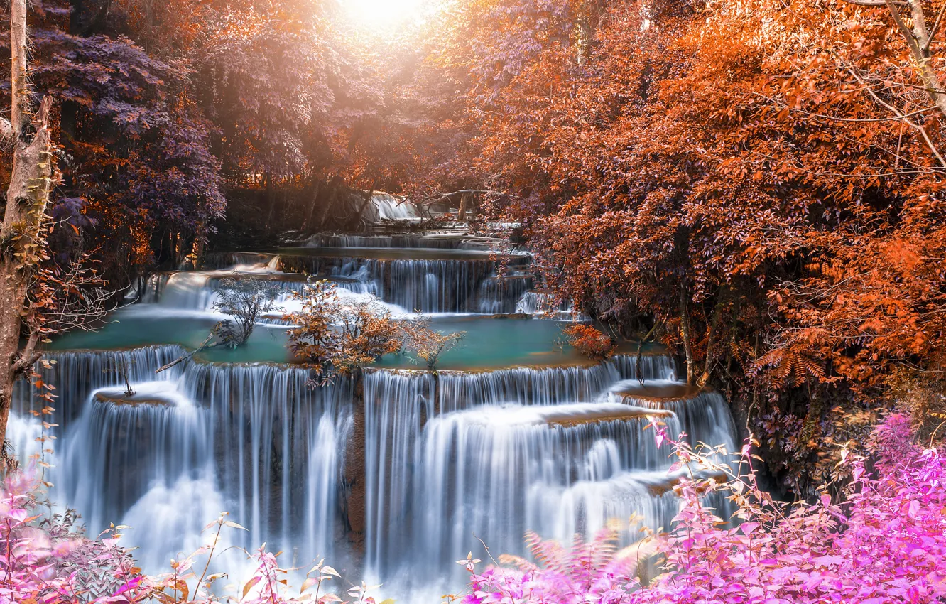 Фото обои пейзаж, природа, скалы, берег, растительность, водопад