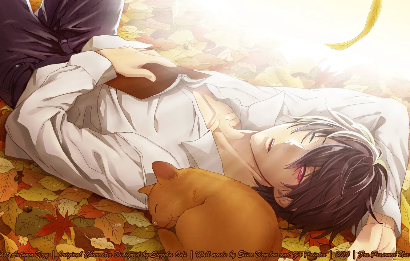 Фото обои осень, свет, отдых, сон, книга, парень, желуди, Psychic Detective Yakumo