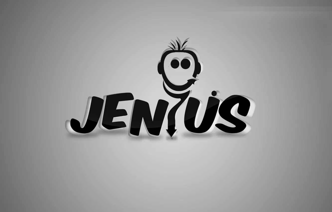 Фото обои minimalism, gray, jenius