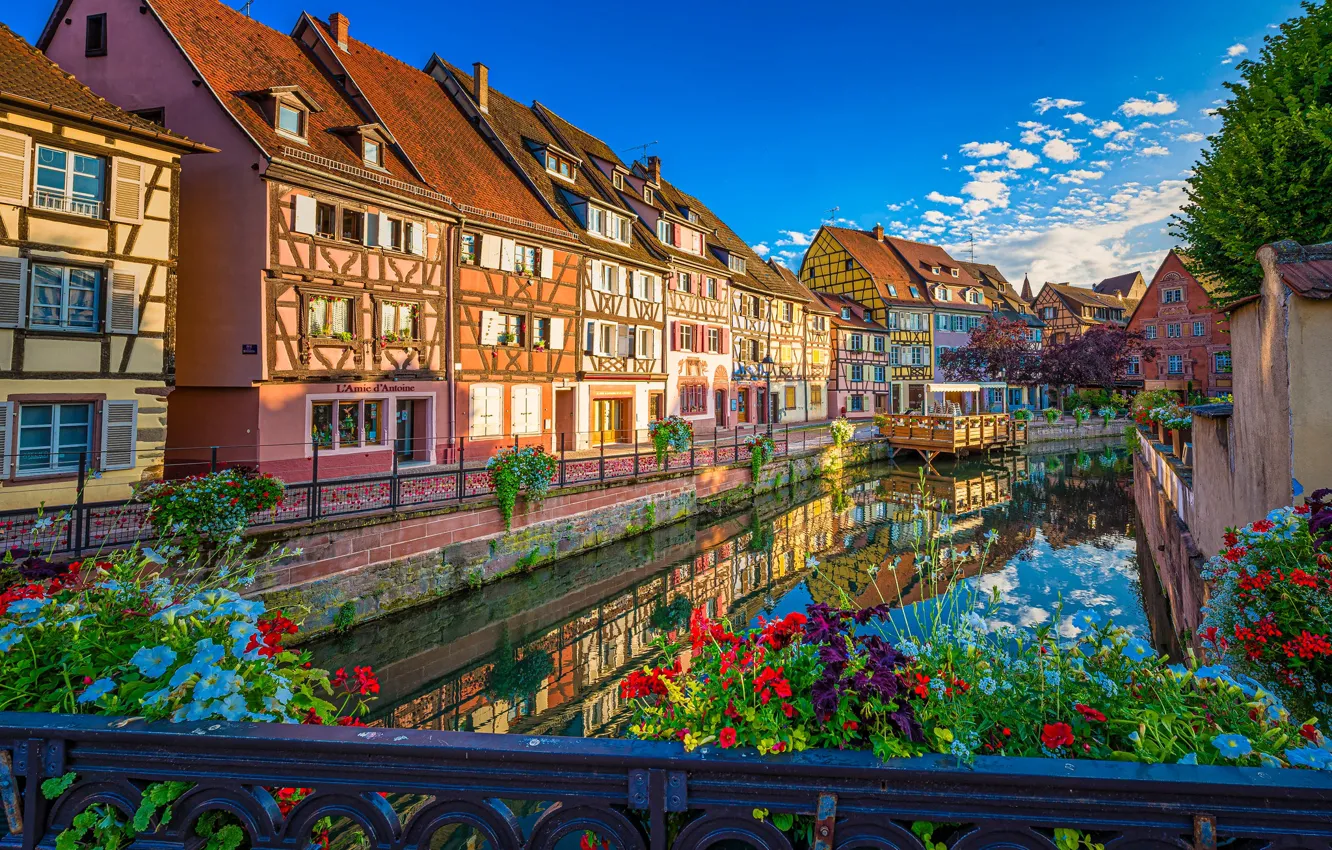 Фото обои цветы, отражение, Франция, здания, дома, канал, набережная, France
