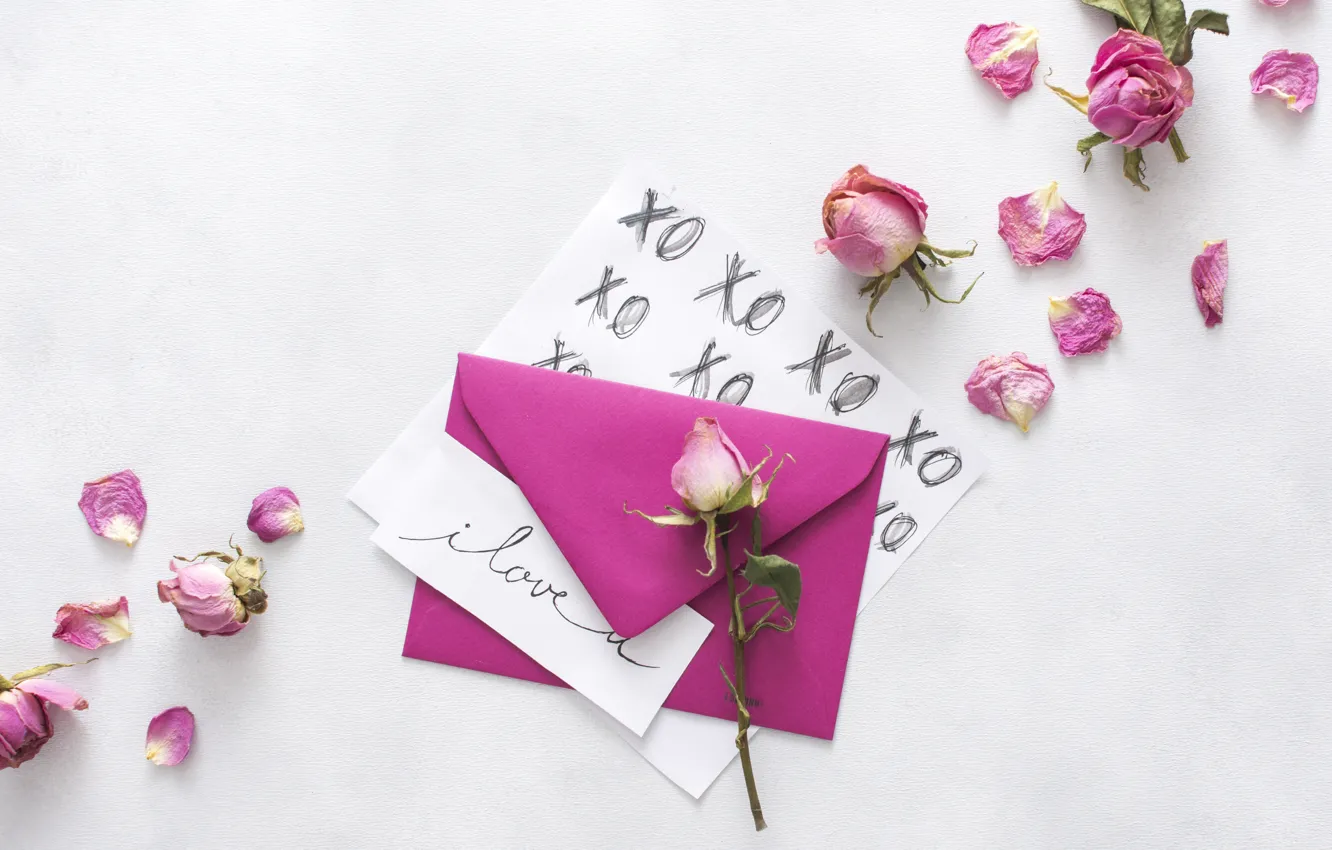 Фото обои Love, розы, бутоны, конверт
