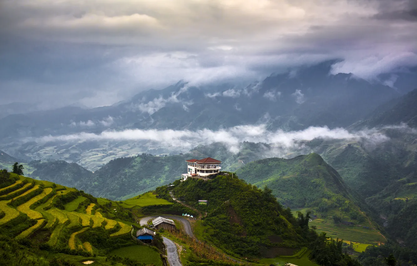 Фото обои горы, природа, долины, дом в горах, чайная плантация