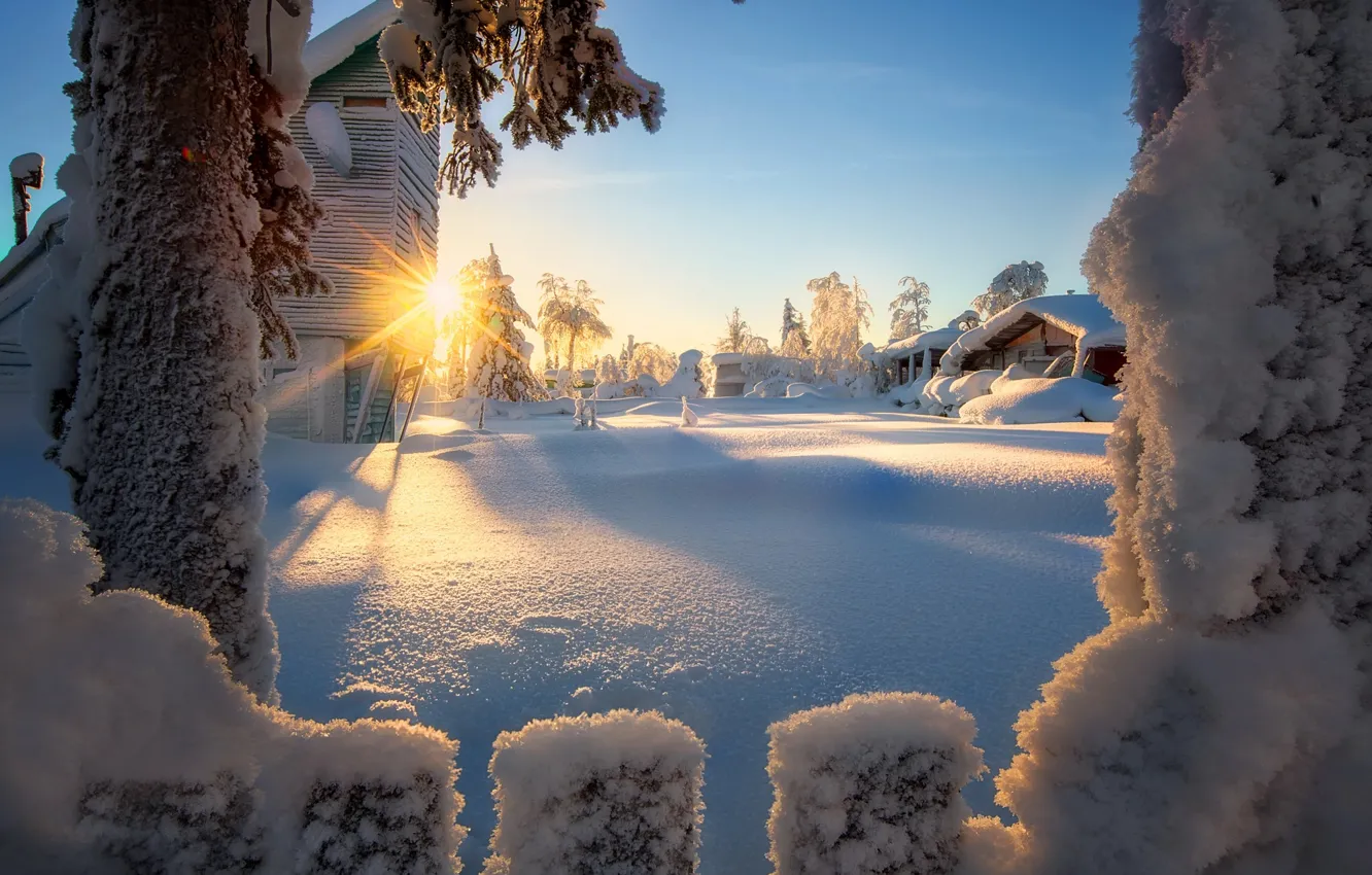 Фото обои зима, солнце, лучи, снег, деревья, пейзаж, природа, забор