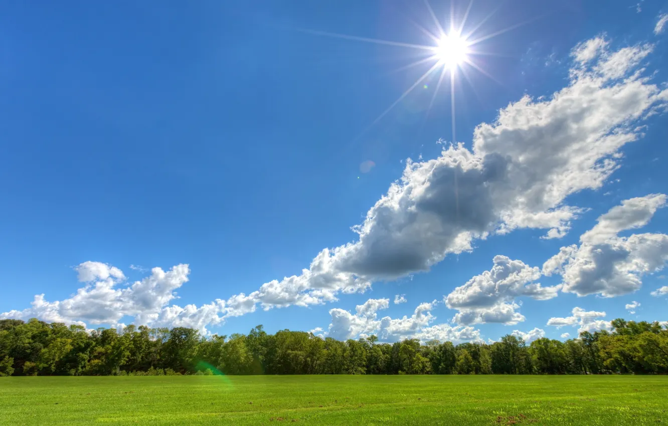 Фото обои небо, облака, деревья, луг, солнечный день, солнышко