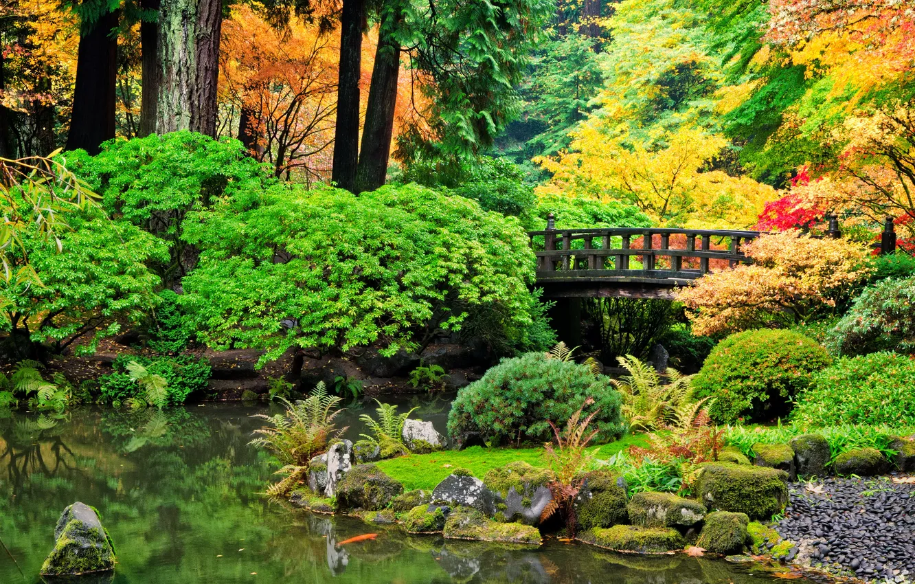 Фото обои осень, деревья, мост, пруд, парк, камни, кусты