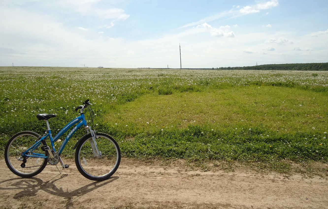 Фото обои дорога, поле, лето, небо, трава, велосипед, одуванчики