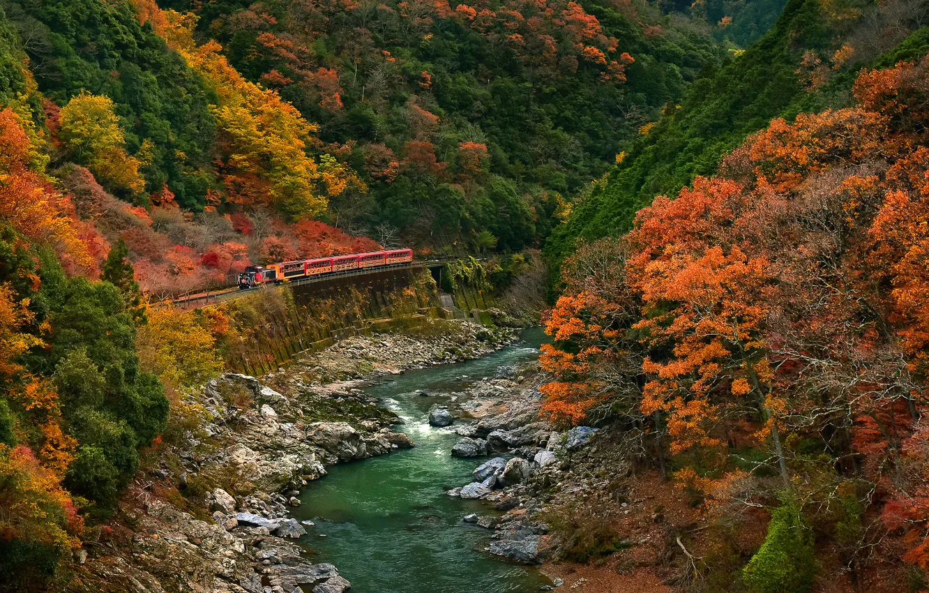 Фото обои дорога, осень, лес, деревья, горы, река, камни, поезд