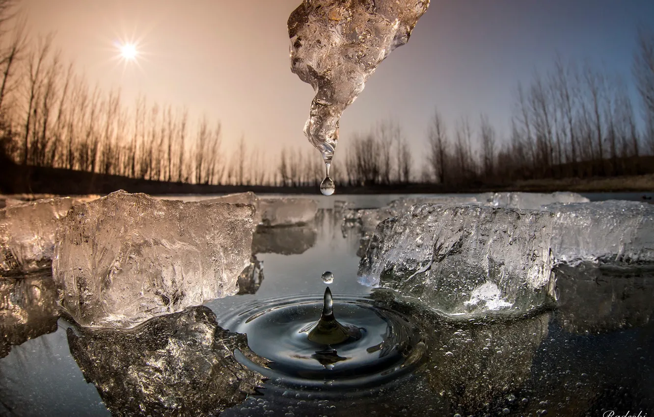 Фото обои вода, солнце, макро, капля, лёд, весна