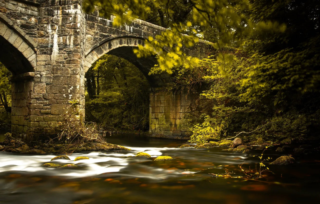 Фото обои мост, природа, река