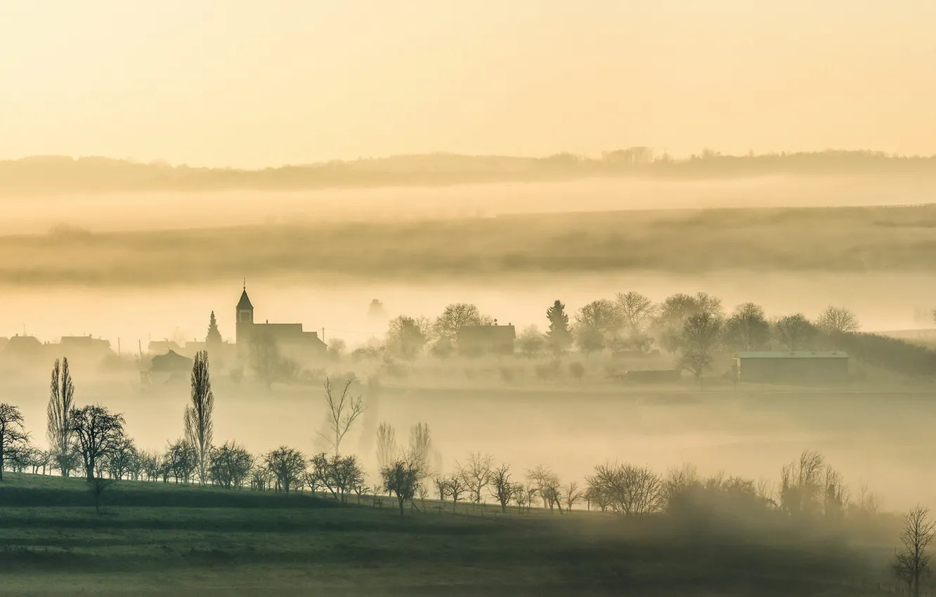 Фото обои туман, утро, Traenheim