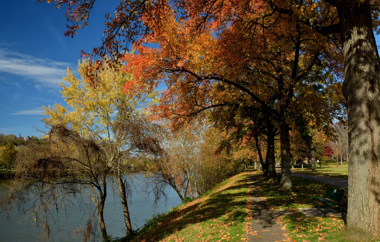Фото обои осень, деревья, озеро, пруд, парк, дорожка