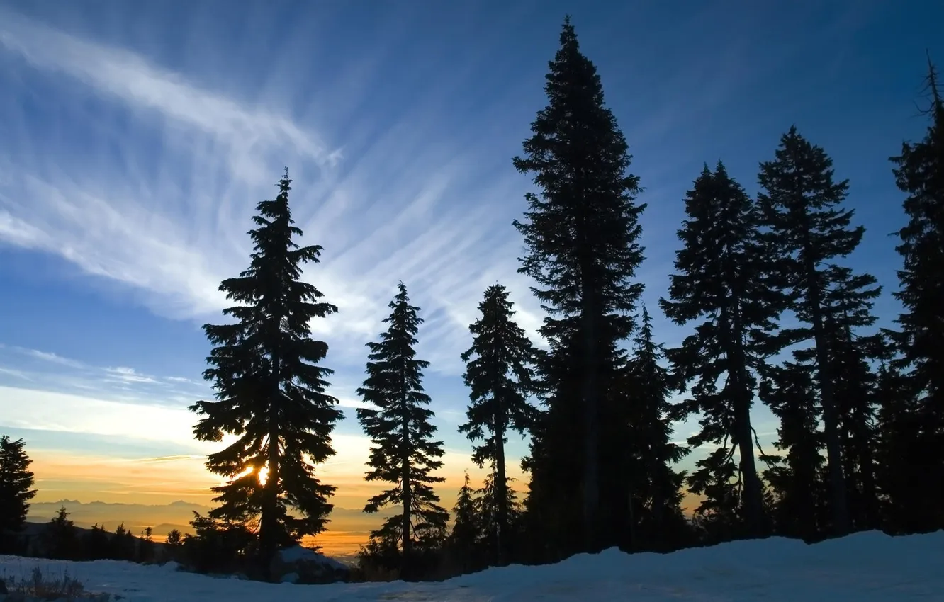 Фото обои зима, лес, небо, снег, пейзаж, закат, природа, фото