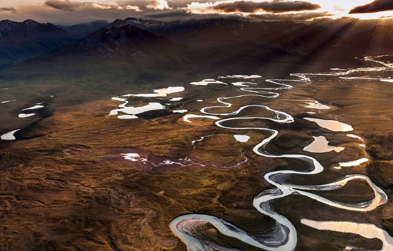 Фото обои Аляска, USA, США, Alaska, заповедник, Brooks Range, Арктическая дикая природа, Arctic Wildlife