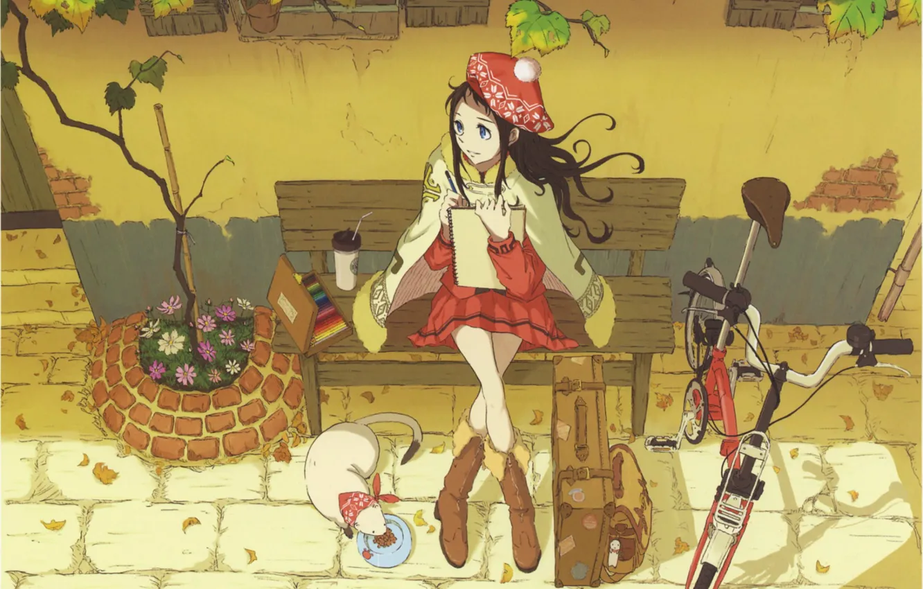 Фото обои кошка, цветы, скамейка, велосипед, карандаши, альбом, Девочка, горшок