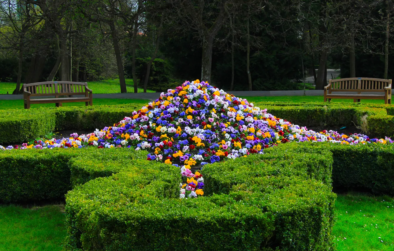 Фото обои flower, garden, spring