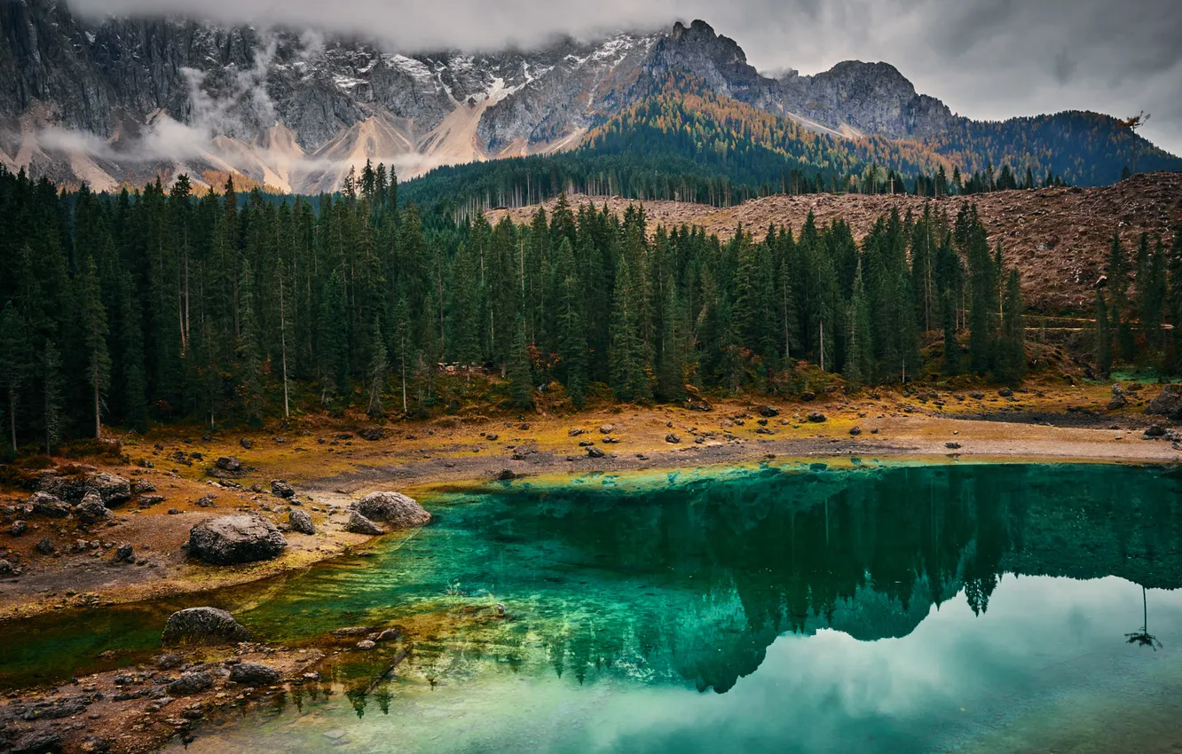 Фото обои лес, горы, озеро, отражение, берег, ели, зеленая вода