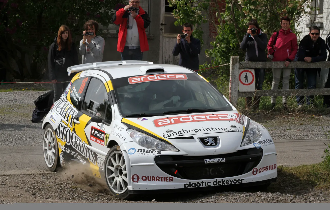 Фото обои Пыль, Peugeot, Rally, 207