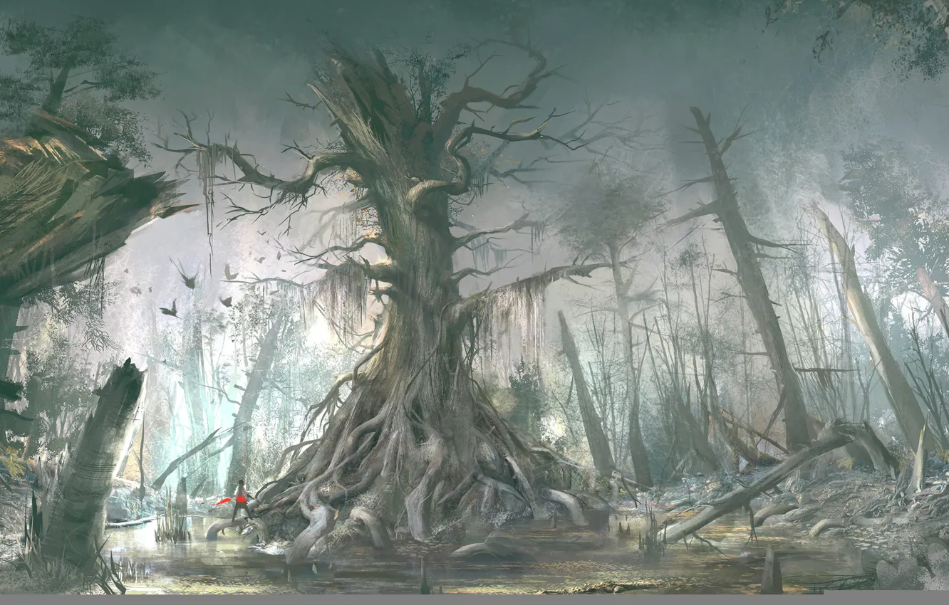 Фото обои лес, ассасин, Assassin's Creed III, Коннор Кенуэй, Кредо убийцы 3