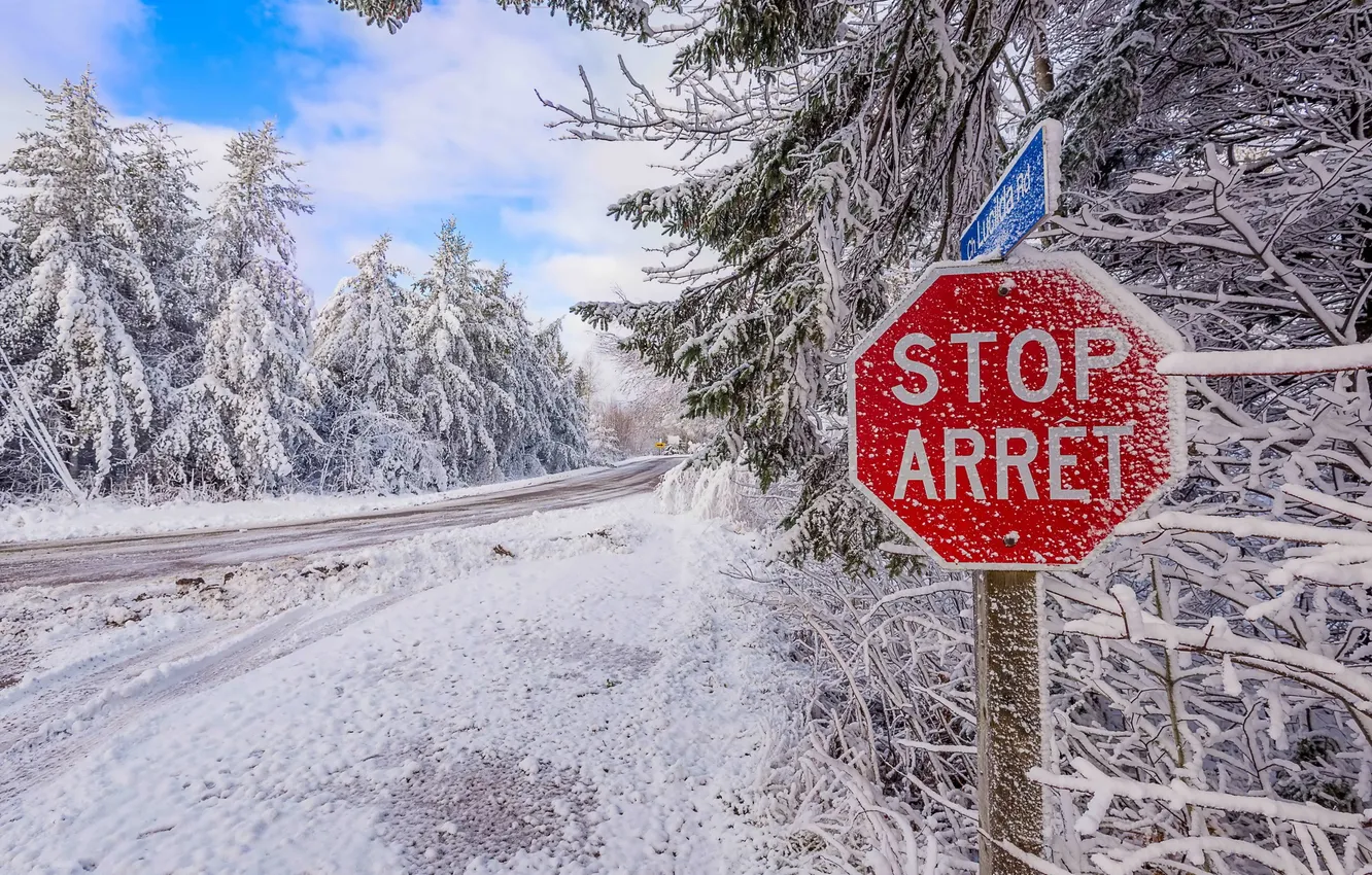 Фото обои дорога, снег, деревья, природа, road, trees, winter, snow