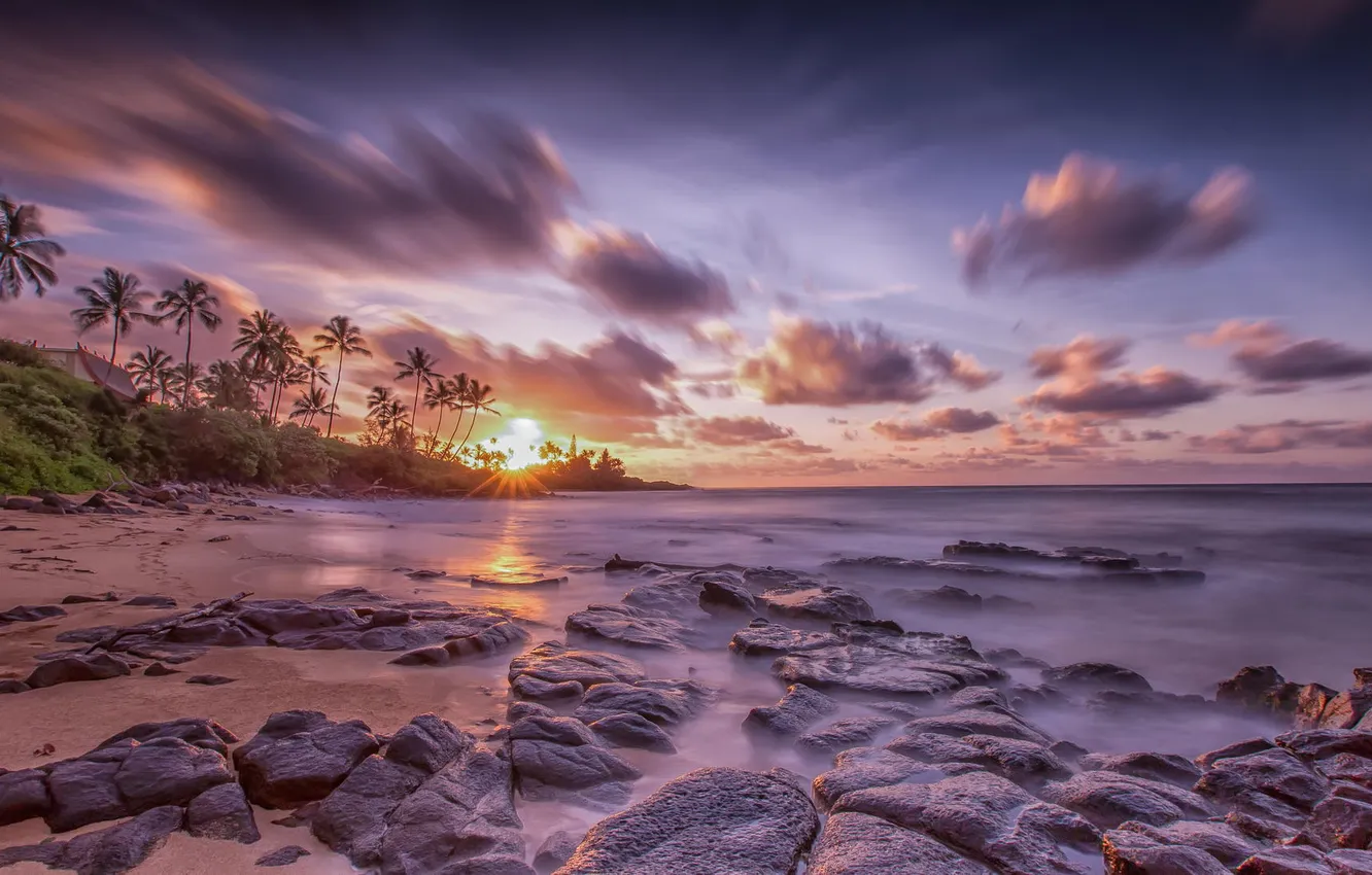 Фото обои пейзаж, закат, пальмы, океан, берег
