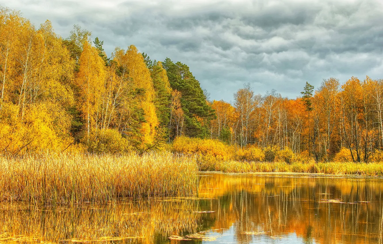 Фото обои осень, небо, деревья, река, autumn