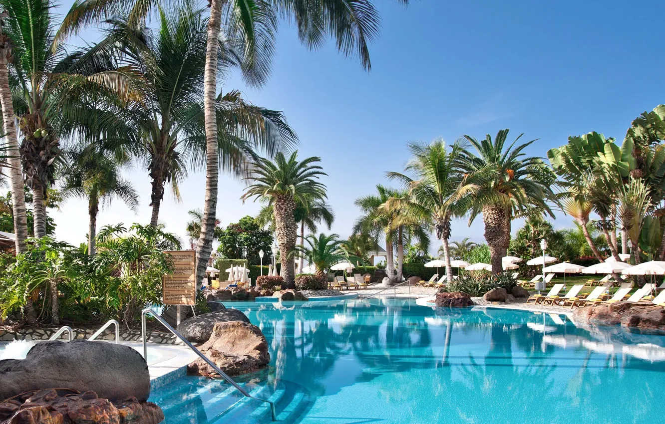 Фото обои пальмы, бассейн, курорт, Palma de Mallorca, Baleares