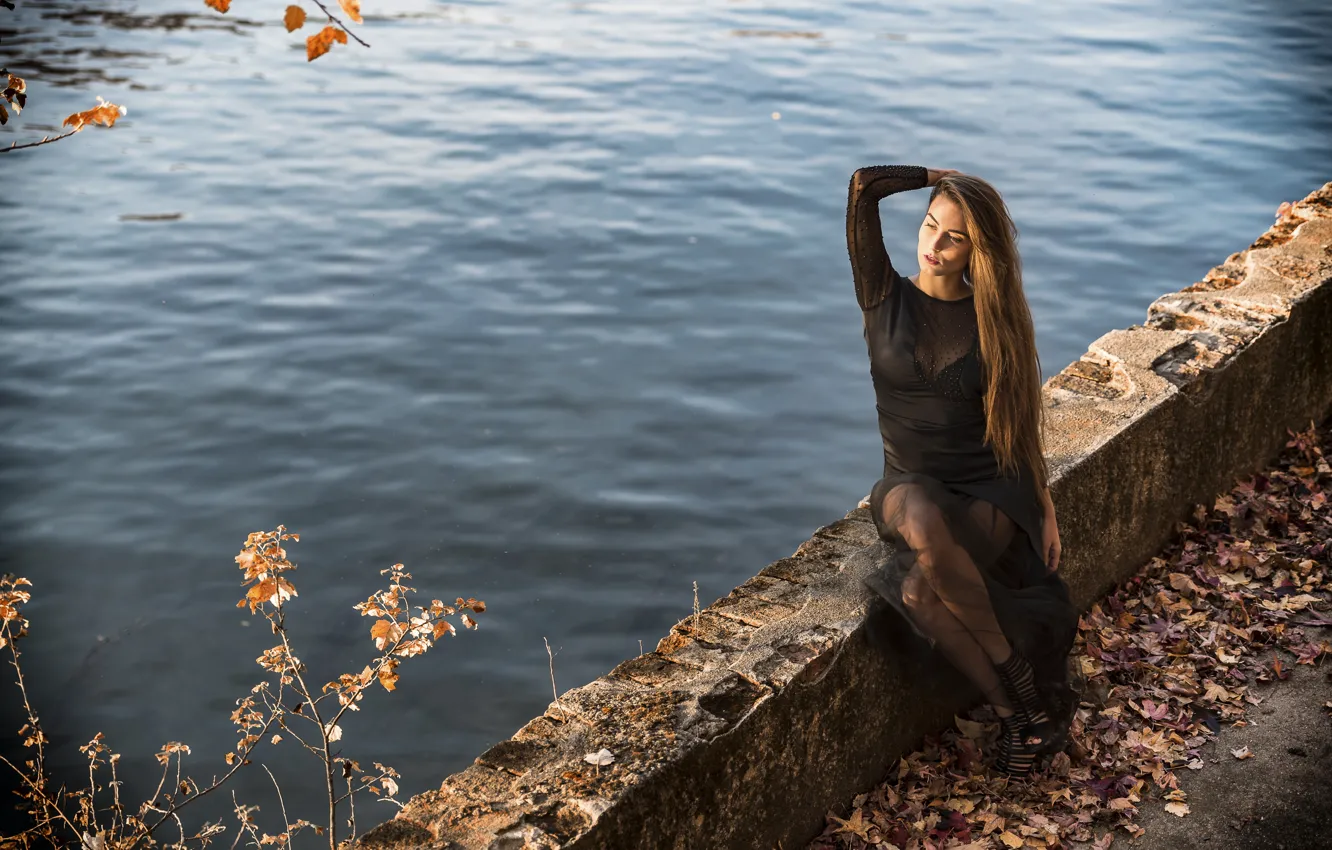 Фото обои лицо, модель, волосы, красотка, Federica