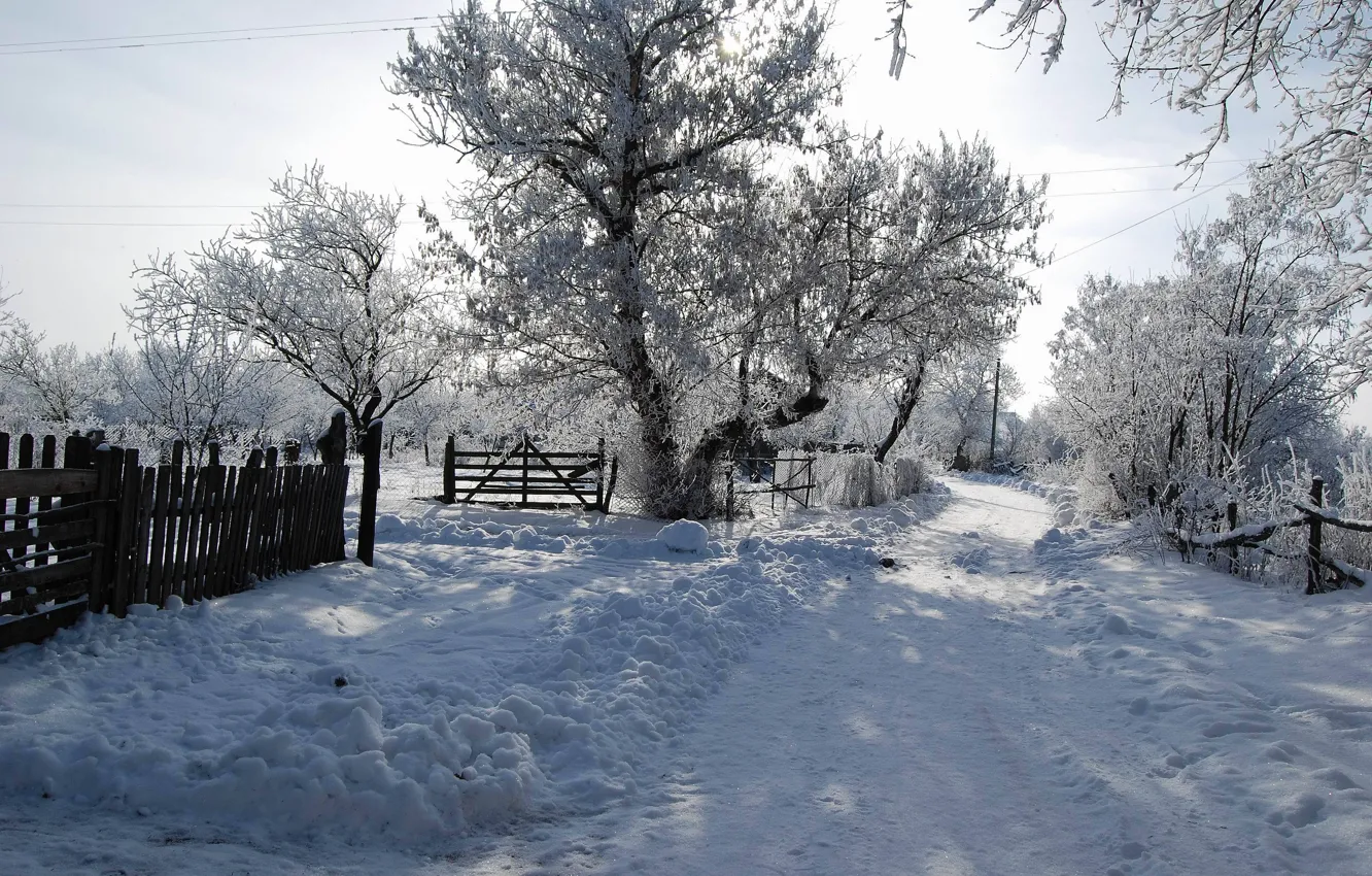 Фото обои дорога, солнце, снег, дерево, Зима, тень