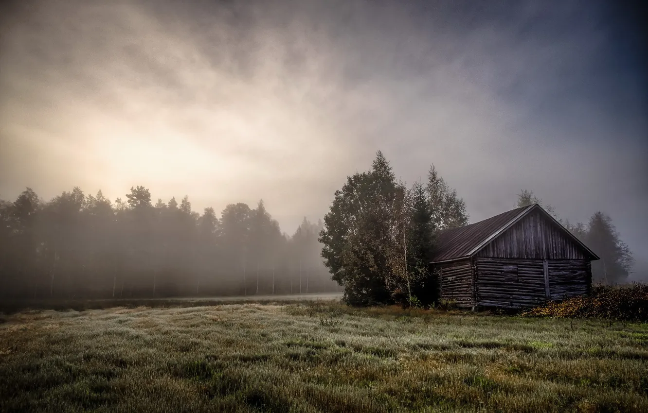 Фото обои поле, туман, дом