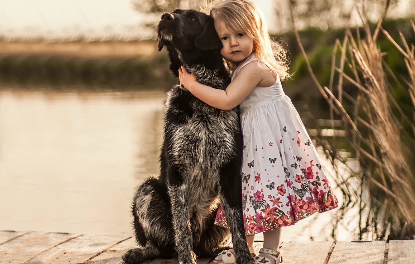 Фото обои собака, девочка, друзья, пёс