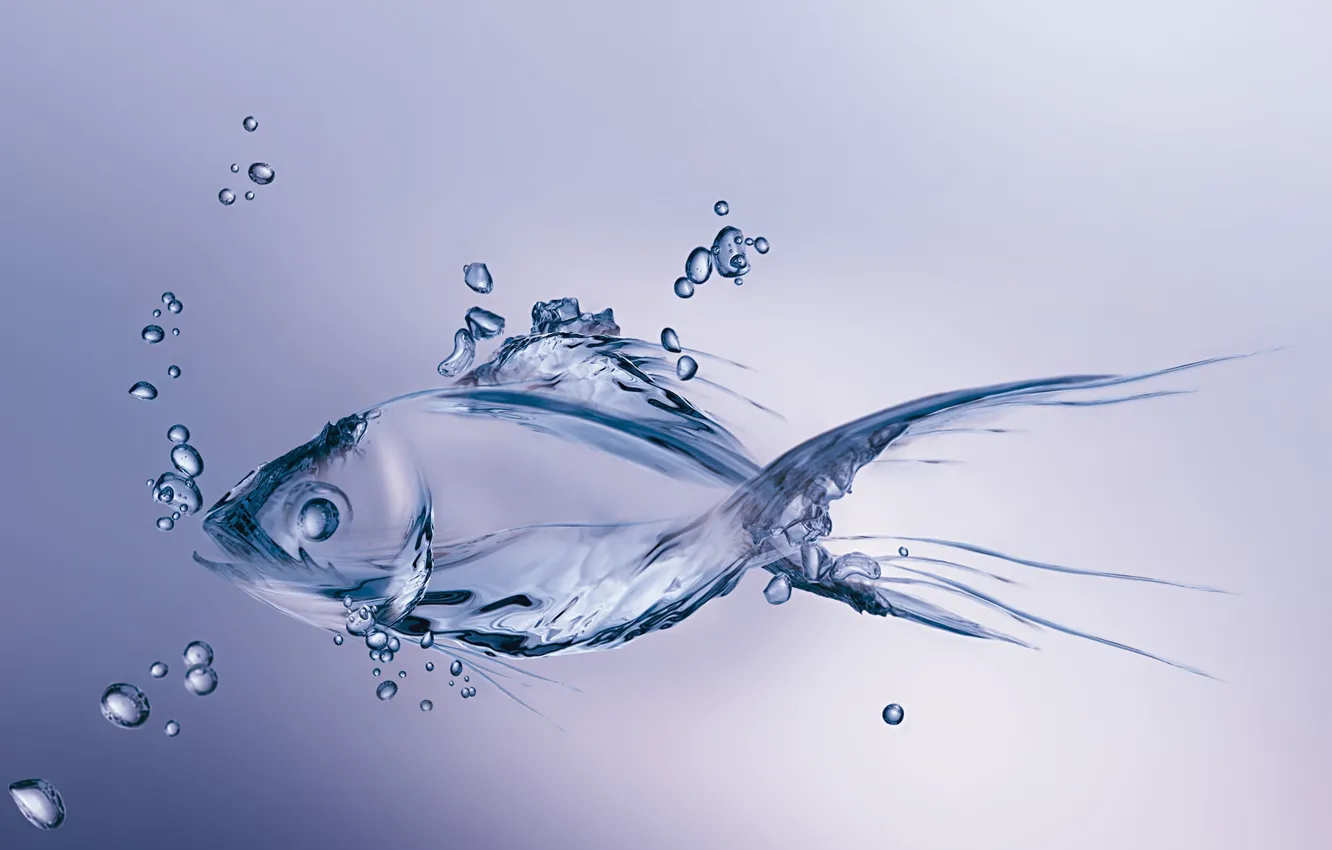 Фото обои вода, пузырьки, минимализм, рыба, bubbles, minimalism, water, figure