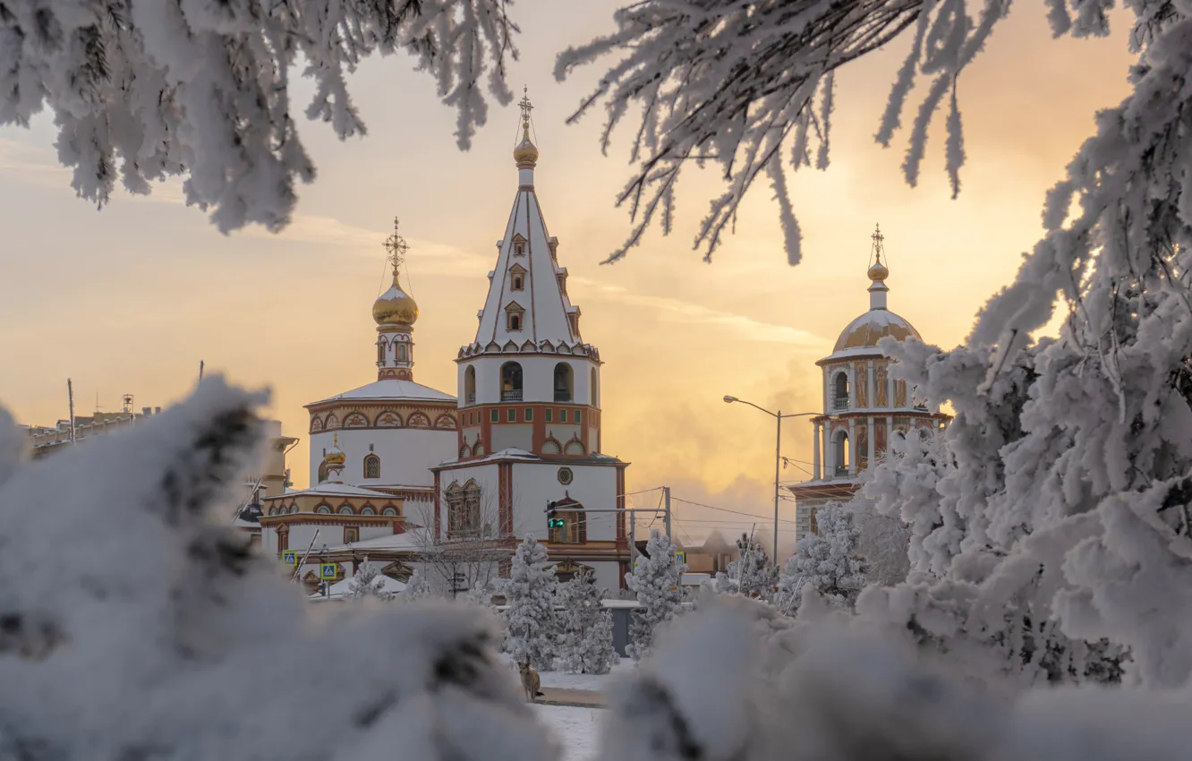 Фото обои зима, снег, ветки, храм, Россия, колокольня, Иркутск, Собор Богоявления Господня