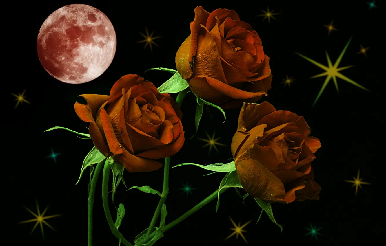 Фото обои звезды, ночь, луна, розы, ремейк