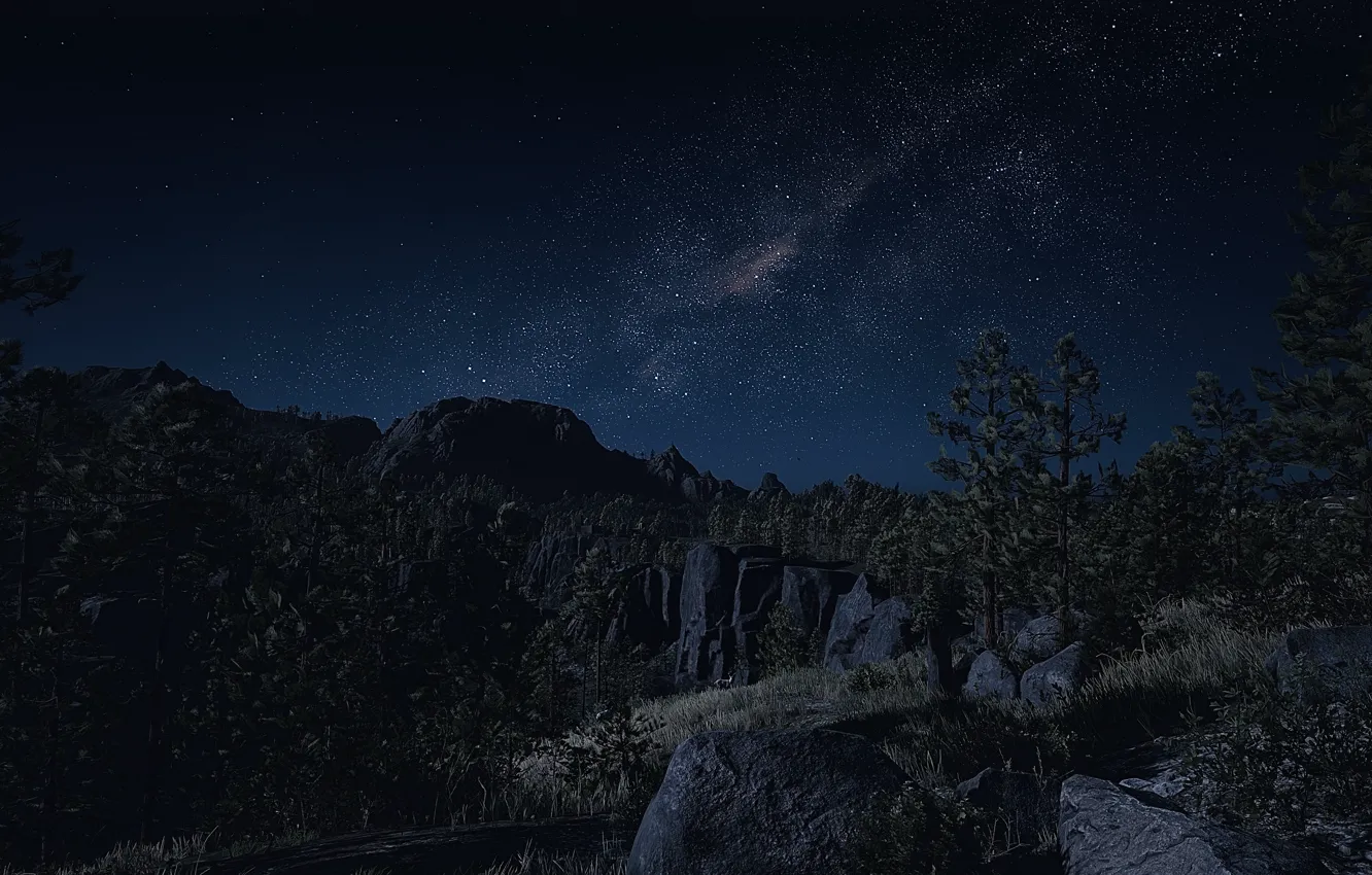 Фото обои HDR, Nature, Sky, Stars, Wood, Tree, Night, Game