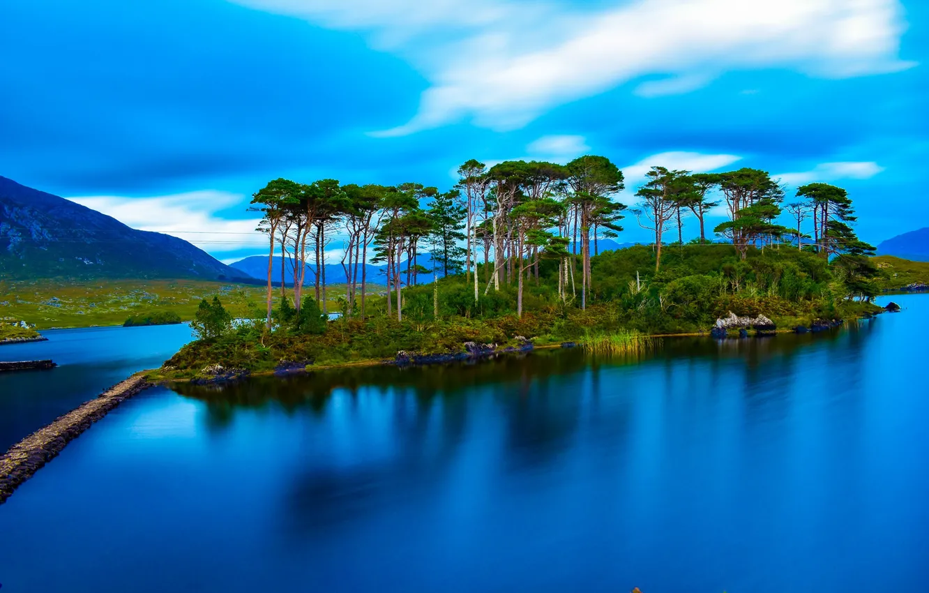 Фото обои небо, деревья, озеро, остров, сосны, Ирландия, водная гладь, Ireland