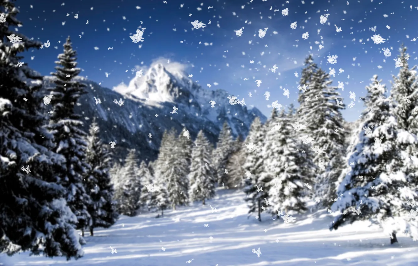 Фото обои холод, зима, иней, макро, снег, деревья, горы, снежинки